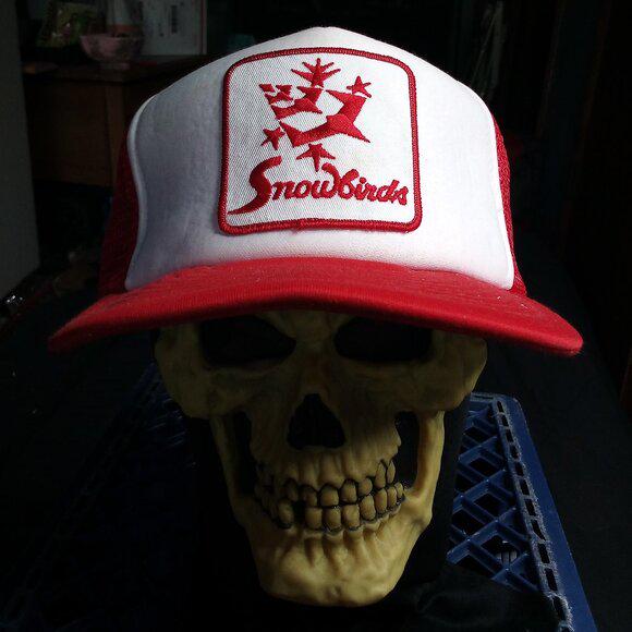 Vintage Air Show Canada