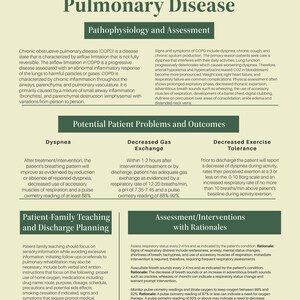 COPD Nursing Care Plan