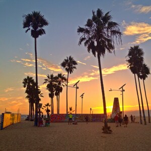 Venice Beach Sunsets Art Prints Palm Trees
