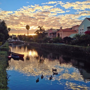 Venice Beach sunsets Art Prints Duck at Water Canals