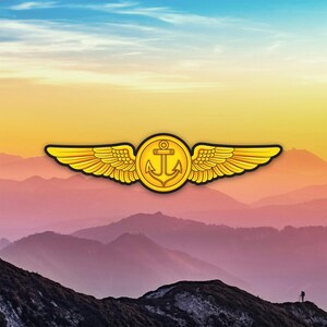 Flight Meteorologist Badge Wings Sticker Decal / Die Cut / Many Sizes / Weatherproof / Made in USA