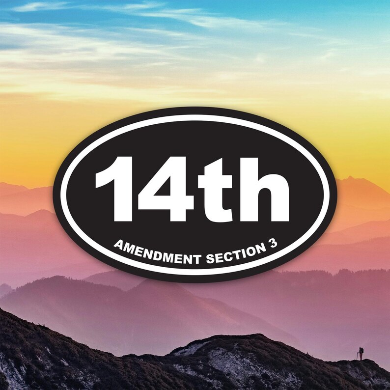 14th Amendment Section 3 Sticker Decal / Die Cut / Many Sizes ...