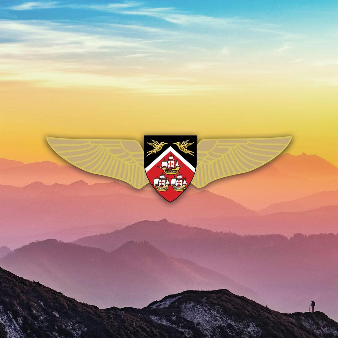 Trinidad and Tobago Defence Force Air Guard Roundel Sticker Decal / Die ...