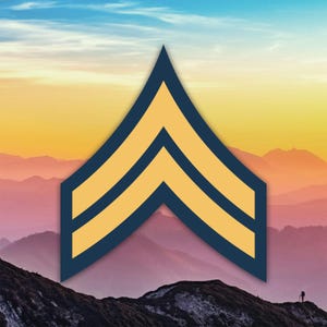 E-4伍長記章ステッカー デカール / ダイカット / 各種サイズ / 耐候性 / 米国製