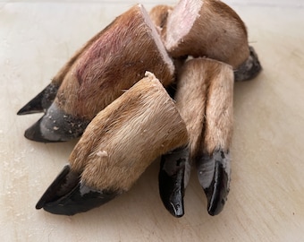 Wild Venison Hoof Dog Chew, Natural Single Ingredient (2 pk)