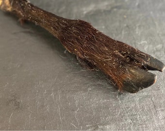 Wild Goat hooves, dehydrated, dog chew,