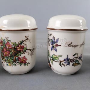 Villeroy and Boch BOTANICA Salt and Pepper Set