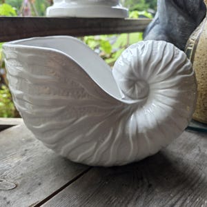 Puede incluir: Un cuenco de cerámica blanca con forma de concha de nautilo. El exterior presenta un acabado brillante con crestas orgánicas onduladas y en relieve que se enroscan hacia el centro. El interior es liso, blanco y abierto.