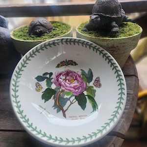 The Botanic Garden Circa 1818 - Etsy