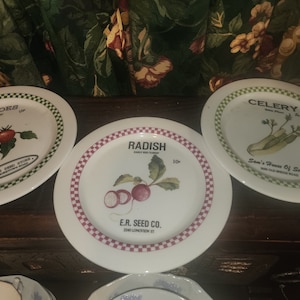 Piatti per insalata con pacchetti di semi primaverili, set da 3 in scatola, 3 pacchetti di semi da 7" Piatti per insalata, antipasto, dessert, 3 piatti, ravanello, sedano, pomodoro