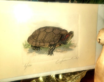 painting signed and # 6/400 red eared slider turtle 11" by 7 1/2"