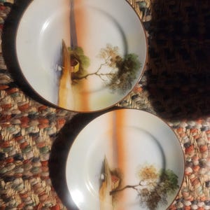 Handpainted Noritake - Etsy