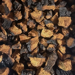 1 Pound NH Chaga Mushroom -Large Fully Dried Pieces.