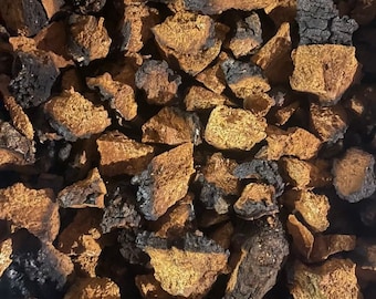 1/2 Pound NH Chaga Mushroom -Large Fully Dried Pieces.