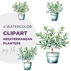 Aquarell 4 Mediterrane Pflanzgefäße Digitaler Download PNG-Grafiken kommerziellen oder persönlichen Gebrauch Transparenter Hintergrund Pflanzen Design