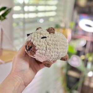 Capybara crochet plushie, capybara, handmade, gift
