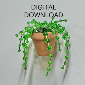 Puede incluir: Una pequeña maceta de terracota con una planta de cuentas verdes. La planta tiene largos hilos de cuentas verdes en cascada. Las palabras "DESCARGA DIGITAL" están impresas en negro encima de la maceta.