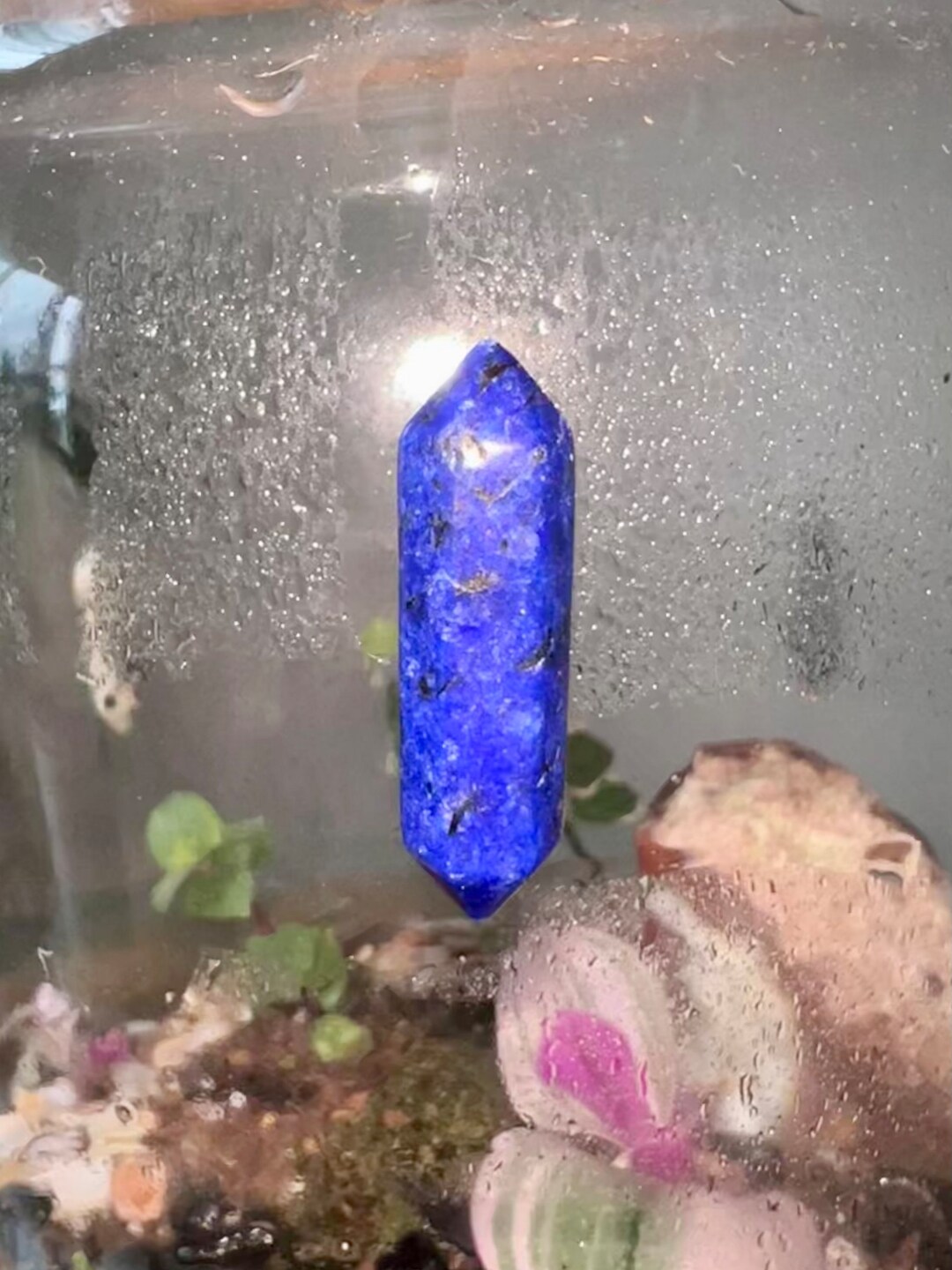 Blue Gemstone Terrarium Glass Cleaner Etsy