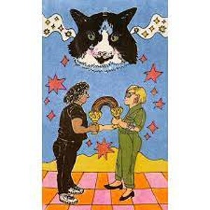 Queer Tarot Deck An Inclusive Deck and Guidebook, Oracle Cards, Oracle Deck image 3