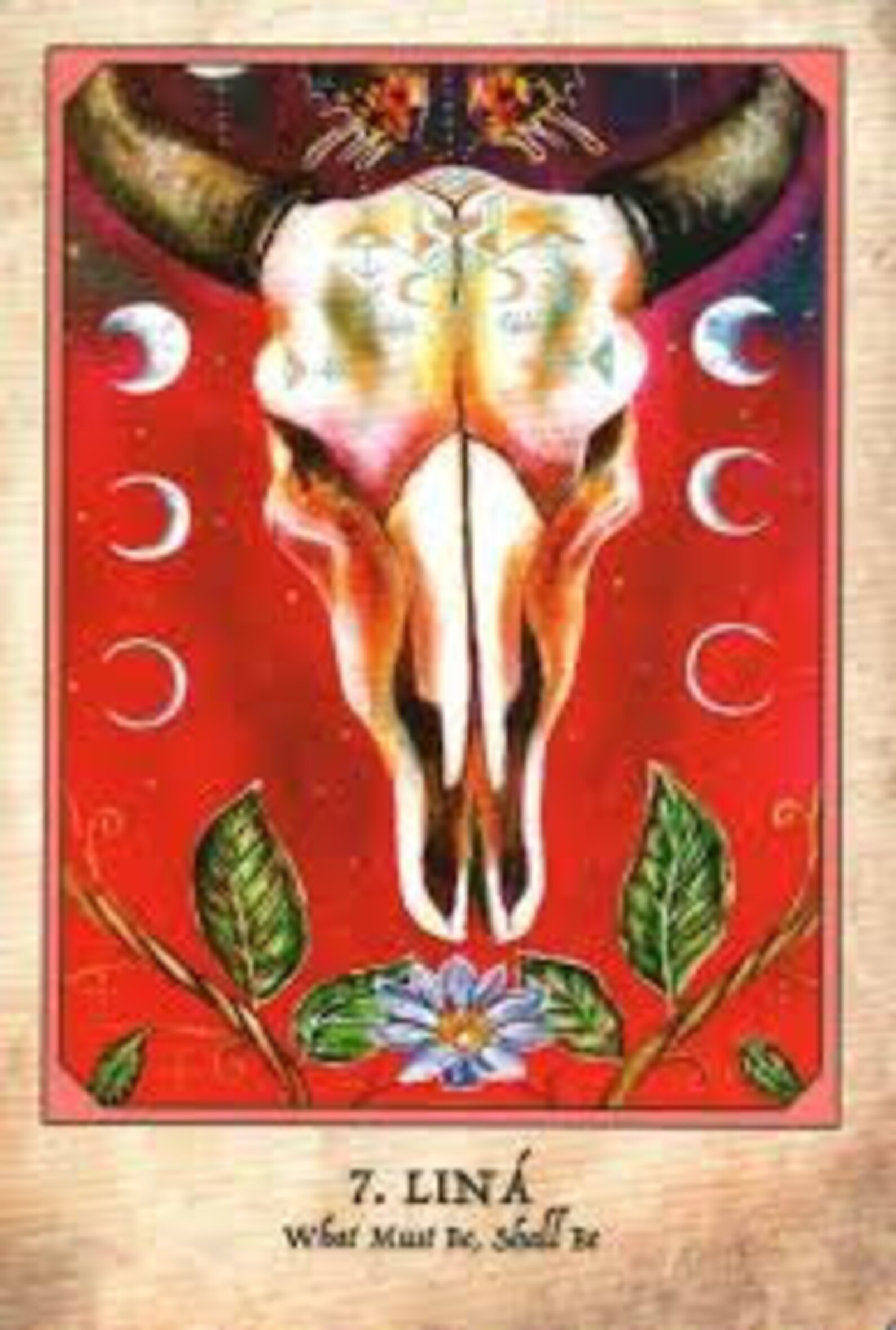 Earth & Bone Oracle Deck Honor the Concepts of Rebirth and Etsy
