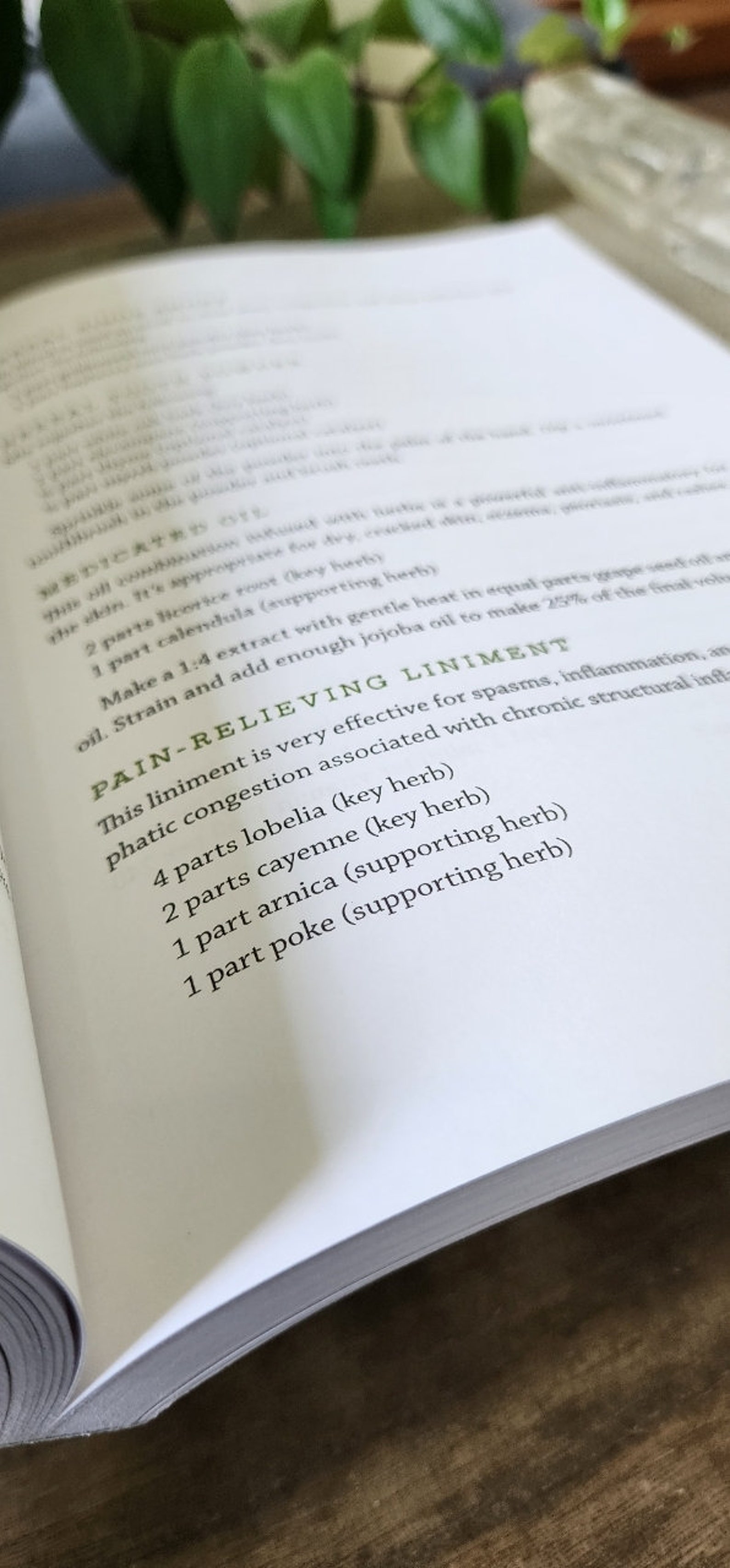 Medicinal Herb Handbook Natures Weeds, Native Medicine Etsy