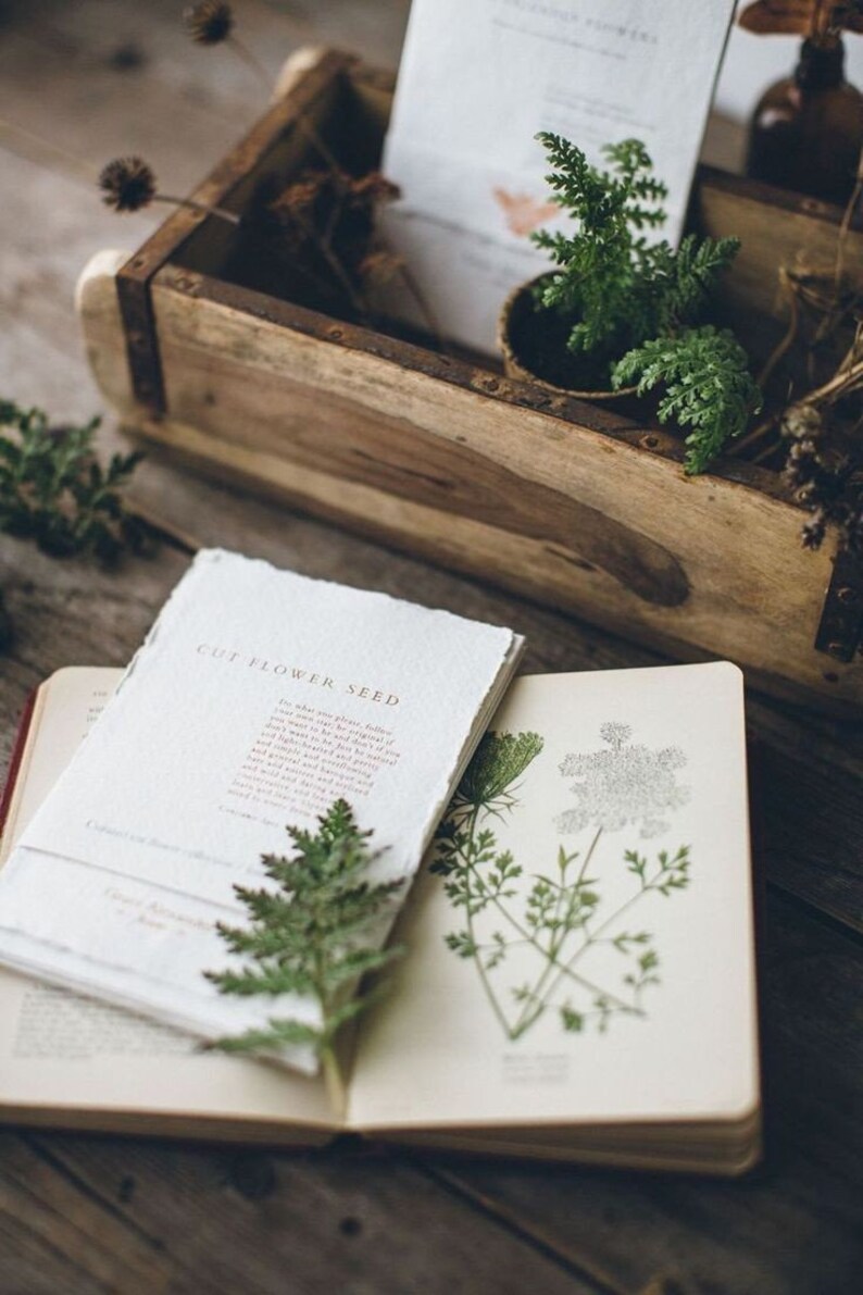 Encyclopedia of Herbal Medicine hardcover 550 Herbs and Remedies for