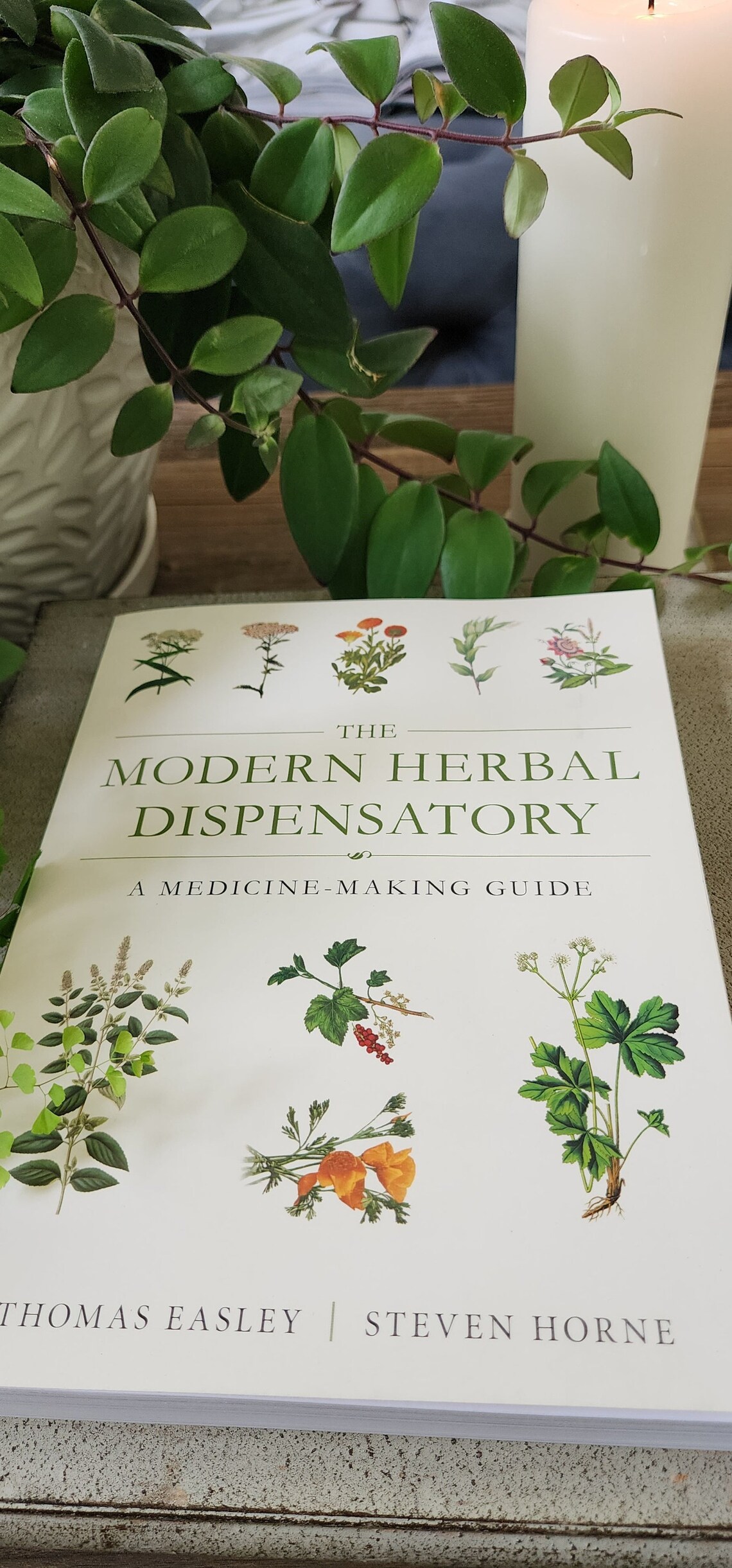 HERB Book, Natural MEDICINE, GUIDE, Plant Based, the Modern Herbal