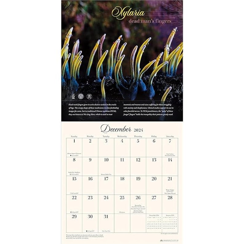 Miraculous Mushroom 2024 Wall Calendar Mushroom Calendar With Fabulous Miraculous Mushroom 2024 Wall Calendar Mushroom Calendar With Fabulous