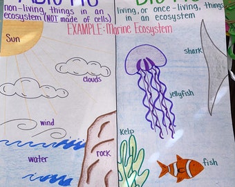 Biotic and Abiotic for Elementary School Middle School and High School