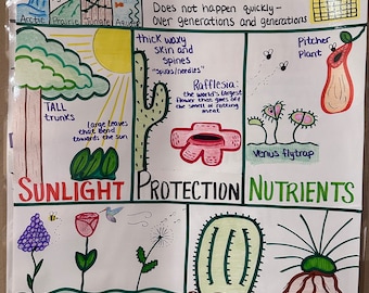 Plant Adaptations Anchor Chart for Elementary, Middle and High School