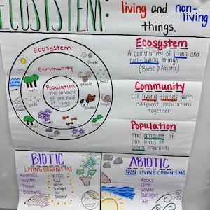 Introduction to Ecosystem Anchor Chart for 5th-8th Grade - Etsy