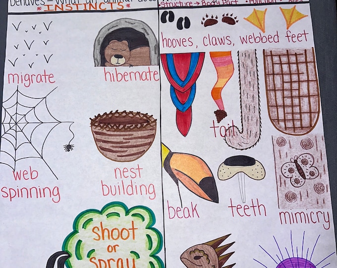 Animal Adaptations Anchor Chart for Elementary, Middle and High School ...