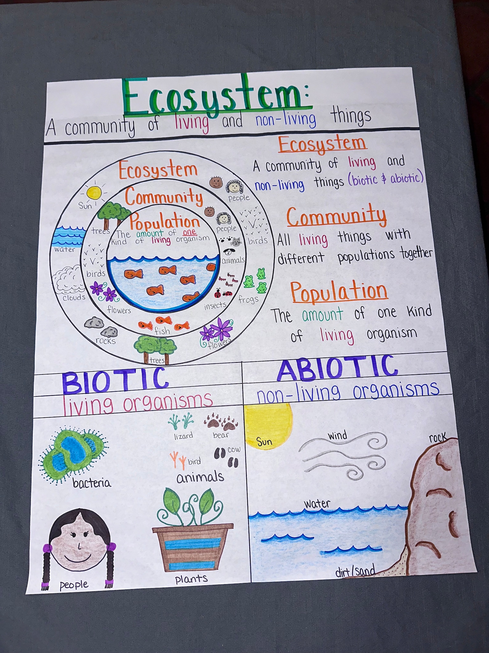 Introduction to Ecosystem Anchor Chart for Elementary, Middle and High
