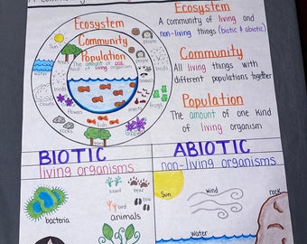 Introduction to Ecosystem Anchor Chart for Elementary, Middle and High School