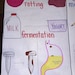 Chemical and Physical Changes for Elementary, Middle and High School - Etsy