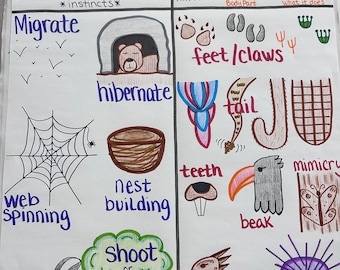 Animal Adaptations Anchor Chart for Elementary, Middle and High School