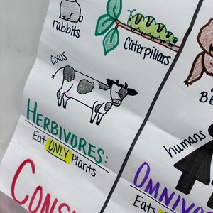 Producers/consumers/decomposers Anchor Chart for Elementary, Middle and ... Biology Diagrams