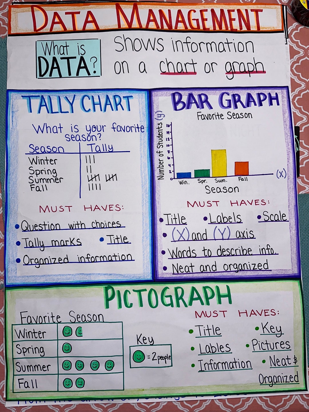 Data Management Anchor Chart for Elementary, Middle and High School - Etsy