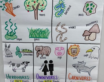Producers/Consumers/Decomposers Anchor Chart for Elementary, Middle and High School