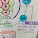 Atomic Structure Anchor Chart for Elementary, Middle and High School - Etsy