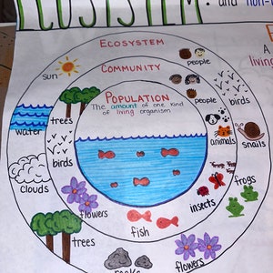 Introduction to Ecosystem Anchor Chart for Elementary, Middle and High