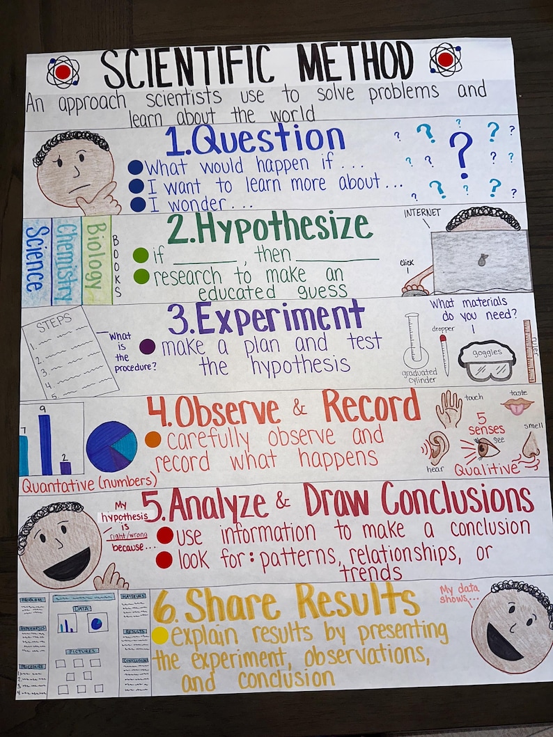 Analyze Examples Science Scientific Method Elementary, Middle, and High School - Etsy