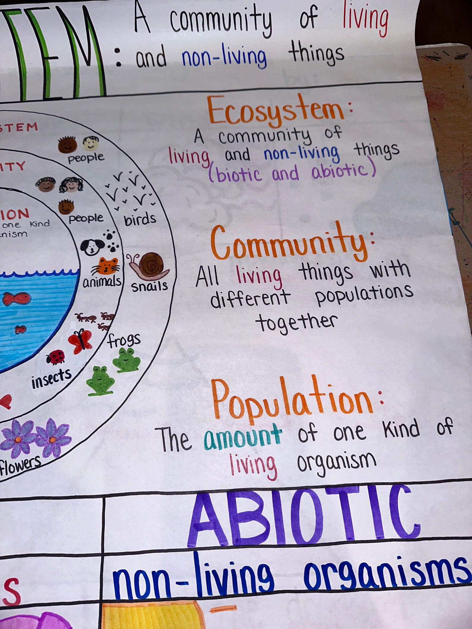 Introduction to Ecosystem Anchor Chart for Elementary, Middle and High