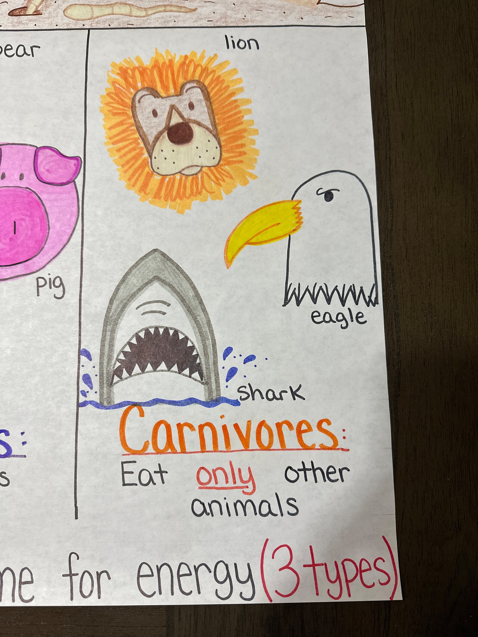 Producers/consumers/decomposers Anchor Chart for Elementary, Middle and ... Biology Diagrams