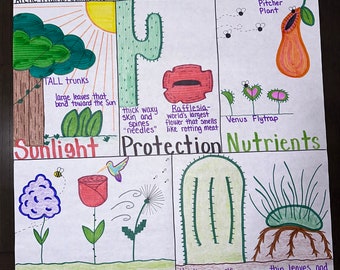Plant Adaptations Anchor Chart for Elementary, Middle and High School