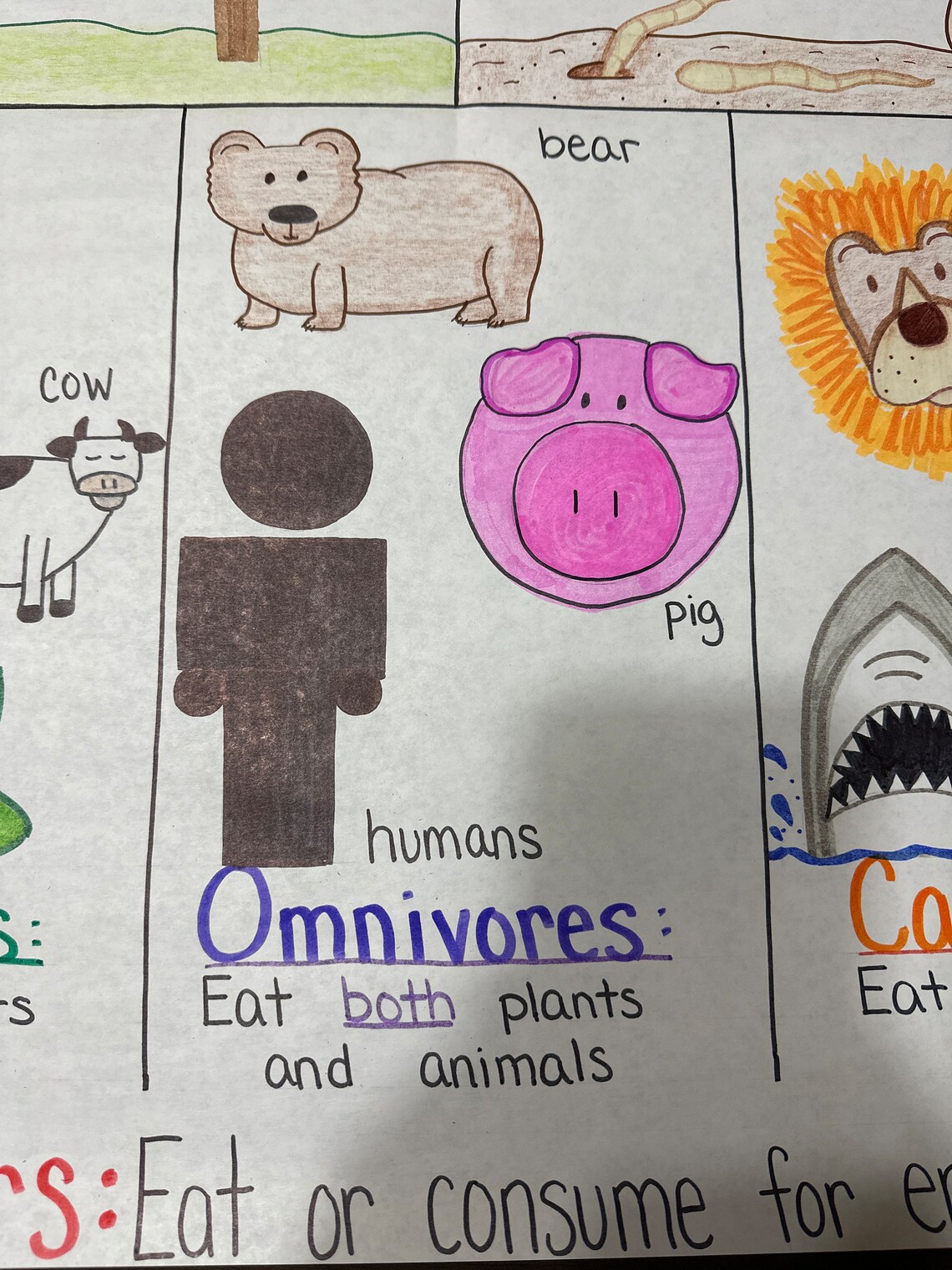 Producers/consumers/decomposers Anchor Chart for Elementary, Middle and ... Biology Diagrams
