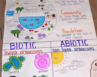 Introduction to Ecosystem Anchor Chart for Elementary, Middle and High School
