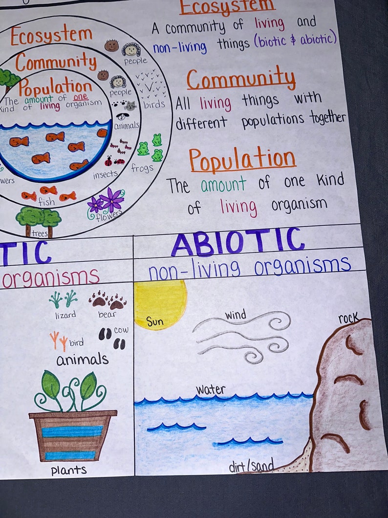 Introduction to Ecosystem Anchor Chart for Elementary, Middle and High