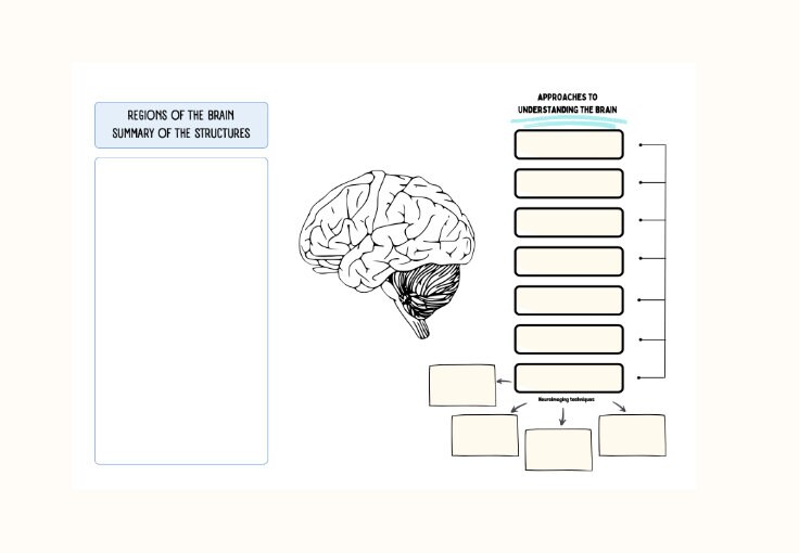 VCE Psychology Unit 1 AOS 2 Revision Posters - Etsy Australia