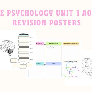 Peut inclure: Cinq affiches imprimables en noir et blanc pour les posters de révision VCE Psychology Unit 1 AOS 2. Les affiches comprennent des sections pour les régions du cerveau, les approches de la compréhension du cerveau, la plasticité neuronale, la plasticité adaptative et l'encéphalopathie traumatique chronique.